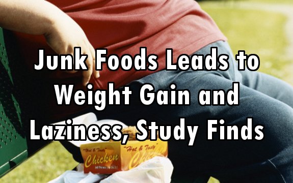 Junk Food to Blame for Weight Gain and Laziness, Says UCLA Study