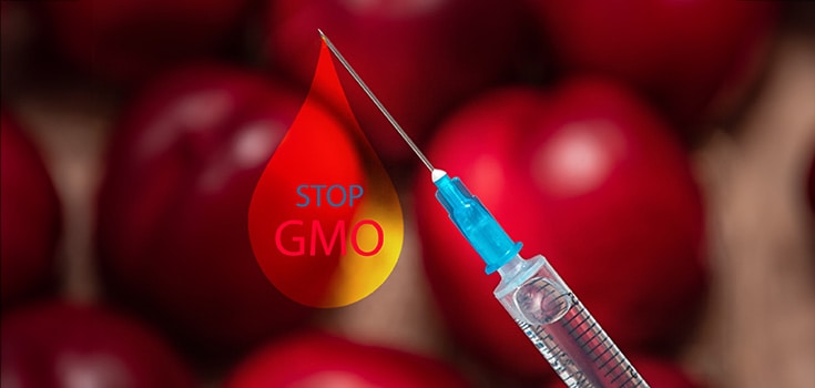 Don’t Fall for the President of the GMA’s GMO Labeling Lie