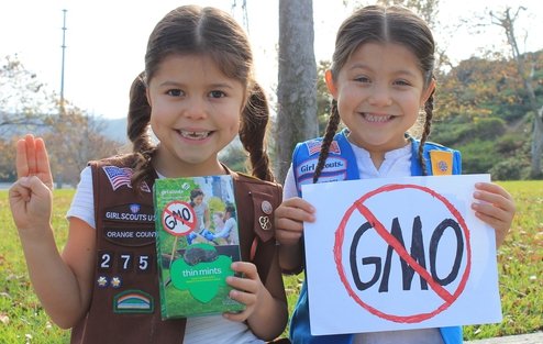 girl scout gmo cookies