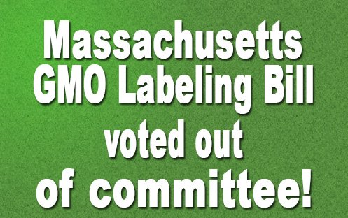 GMO-Labeling Bill Moves Forward, Goes Before Massachusetts Lawmakers