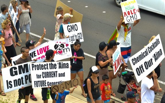 Maui Petition Launched to Fight GMO: Battle Lines Drawn, Monsanto Responds