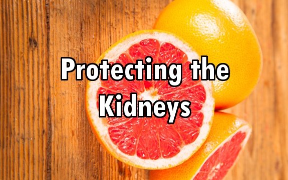 Grapefruit Compound can Protect Kidneys, Prevent Cysts