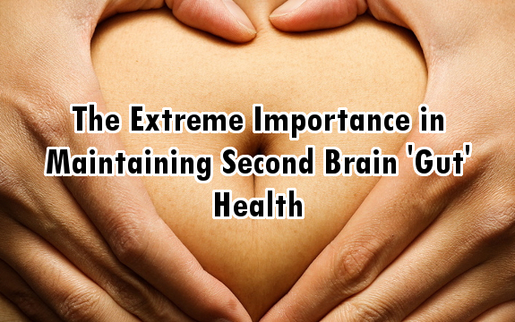 The Extreme Importance in Maintaining Second Brain ‘Gut’ Health