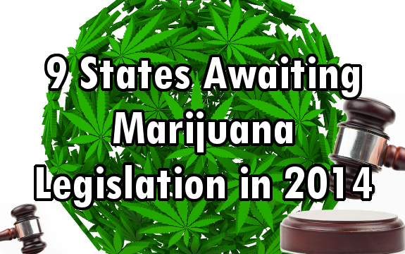 9 States Awaiting Marijuana Legislation in 2014: Reaching the Tipping Point on Medical Marijuana