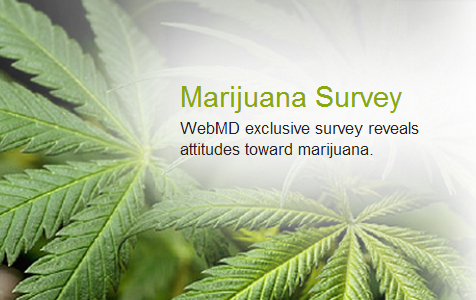 marijuana survey