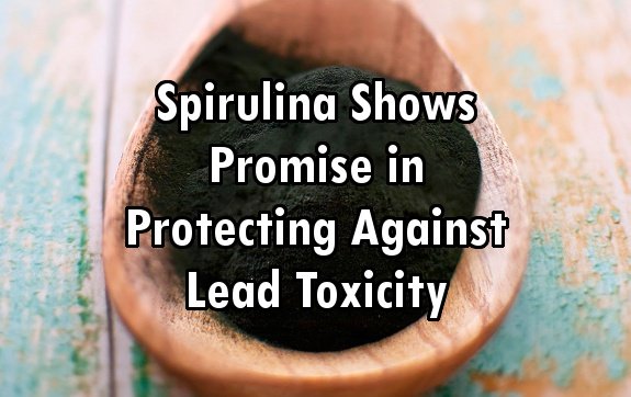spirulina lead toxicity