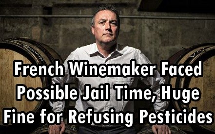 French Winemaker Faced Possible Jail Time, Fine for Refusing Pesticides