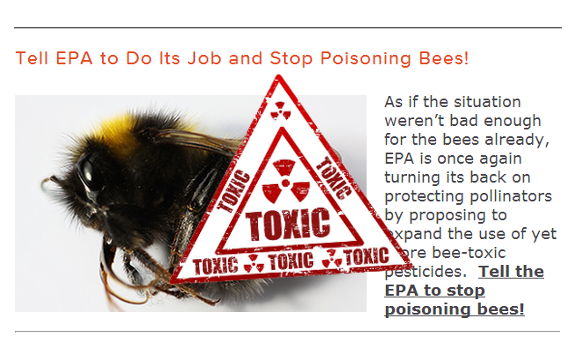 Lunacy: EPA to Allow MORE Butterfly & Bee-Killing, Toxic Pesticides