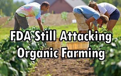 Restrictions & Regulations: FDA Still Attacking Organic Farming