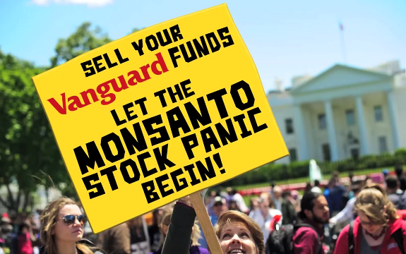 Monsanto stock plunge