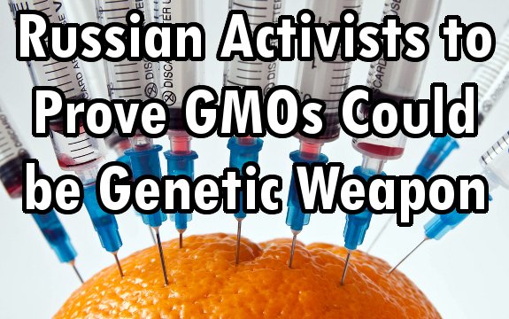Russian Activists to Conduct Independent Studies Proving GMOs Could be Genetic Weapon