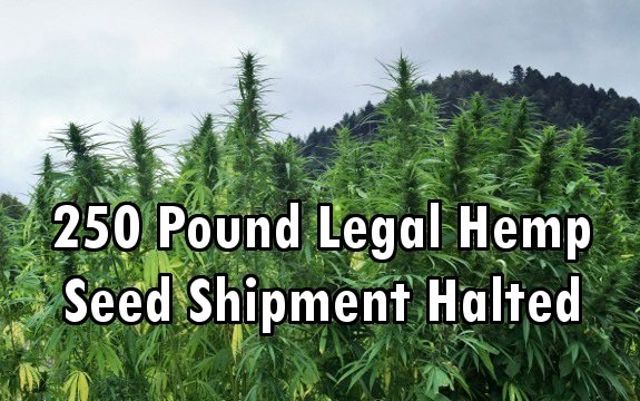marijuana shipment