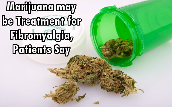 Fibromyalgia Patients and Studies Report Marijuana may be Viable Treatment