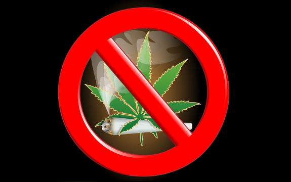 3 Marijuana Myths Debunked