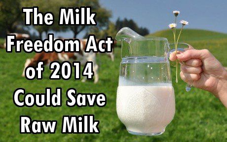 The Milk Freedom Act of 2014 Could Unshackle Raw Milk Production in U.S.