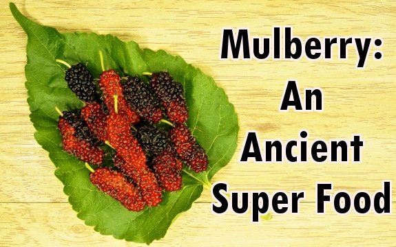 Mulberry: The Ancient Super Food of Silkworms and Now, People