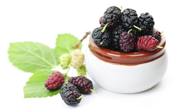 Study Finds Mulberry Leaf Boosts Heart Health, Prevents Heart Disease