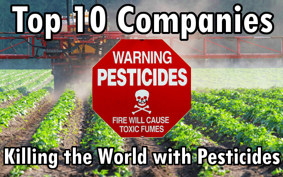 Top 10 Companies Killing the Natural World with Pesticides – Also the Biggest Seed Producers