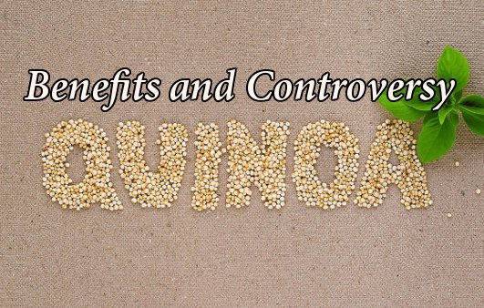 Quinoa: The Benefits and the Controversy