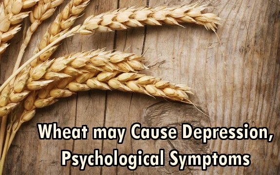 Wheat’s Risks may Include Depression, Psychological Symptoms