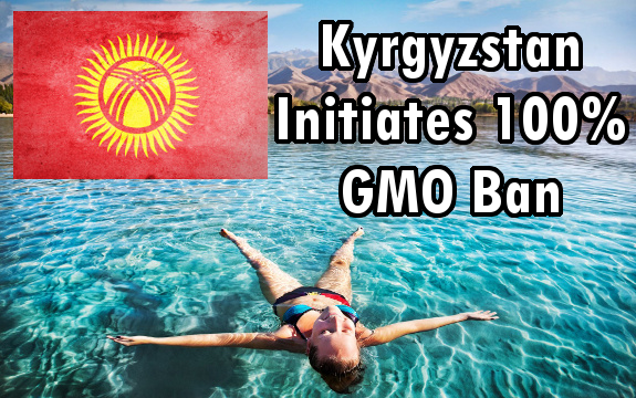 Kyrgyzstan gmo ban