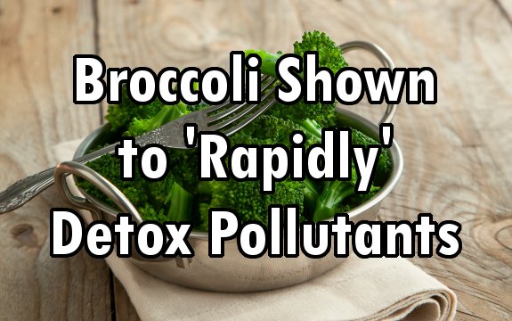 Good News: Compound in Broccoli Proven to Rid Body of Toxic Pollutants