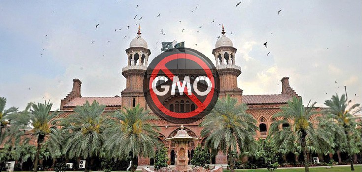 Pakistan GMO