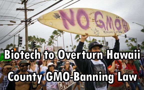 Biotech Seeks to Overturn Hawaii County GMO-Banning Law