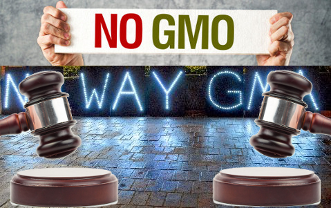 Attorney General Rejects GMA’s Attempt to Throw out GMO Labeling Laws
