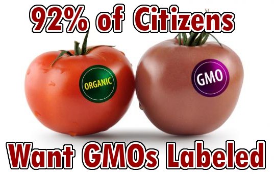 Consumer Reports Poll Shows 92% of Citizens Want Strict GMO Regulations
