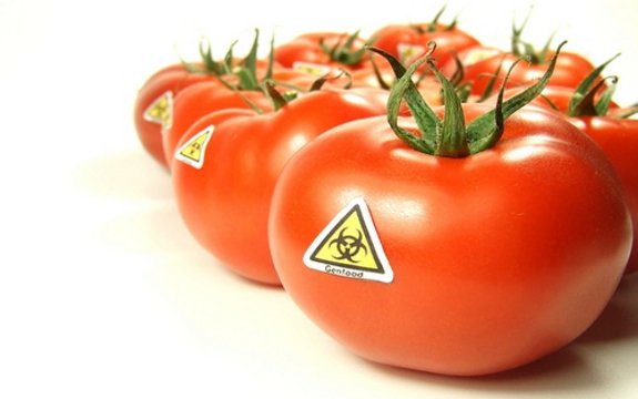 Monsanto Tries to Patent & Control Natural, Non-GMO Tomatoes
