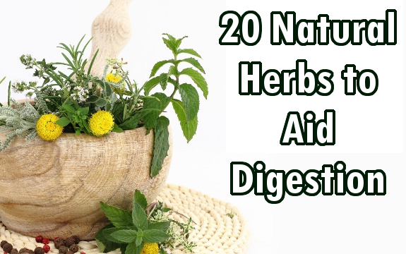 20 Natural Herbs to Aid Digestion