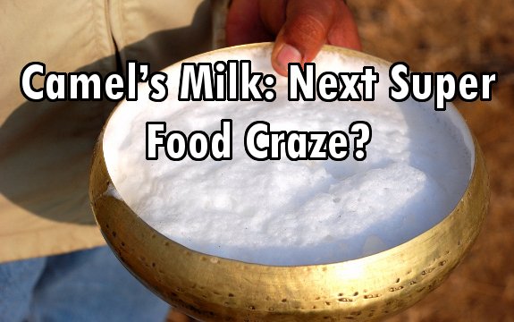 Is Camel’s Milk the Next Super Food Craze?