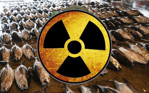 Radiation in Tuna Triples After Fukushima, New Study Says