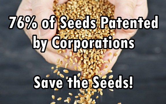 76% of Seed Market is Patented by Corporations: Save the Seeds!