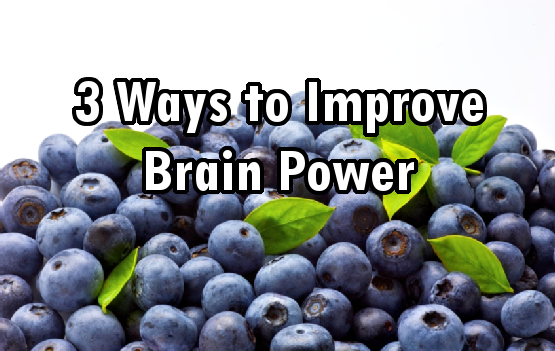 blueberries brain food