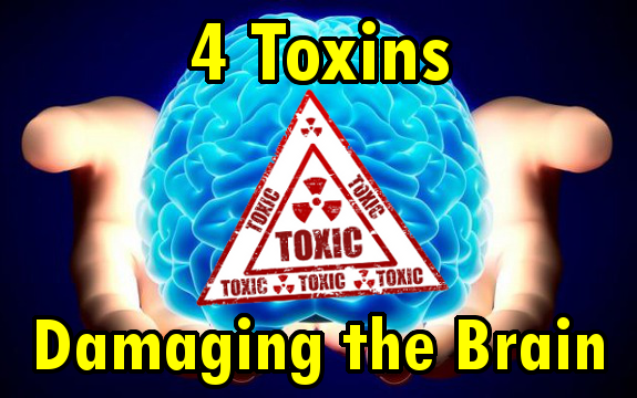 What Are the Top 4 Dangerous Toxins to the Brain?