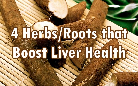4 Great Herbs/Roots for Boosting Liver Health