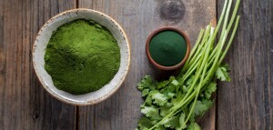 cilantro and chlorella detox