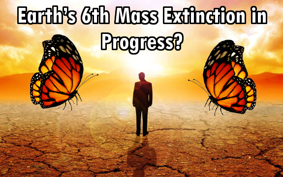 Stanford Biologist Warns: Early Signs of Earth’s 6th Mass Extinction in Progress
