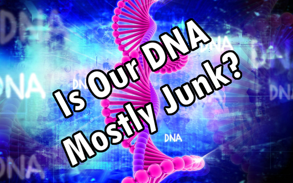 Is Our DNA Mostly Junk? Study Says Only 8.2% of Human Genes are ‘Functional’