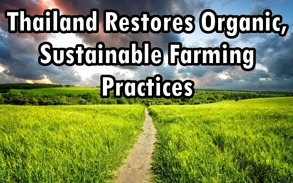 Peaceful Coup in Thailand Restores Organic Agriculture & Sustainable Farming Practices