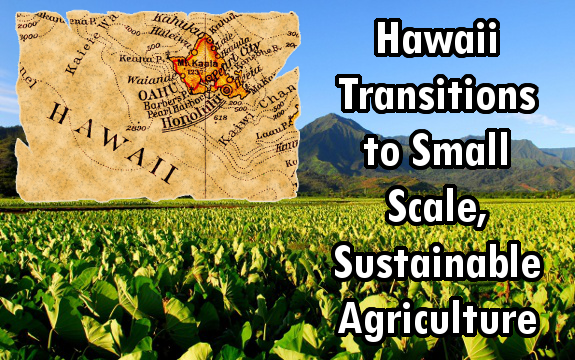 Feeding Hawaii: Aloha State Transitions to Small Scale, Sustainable Agriculture