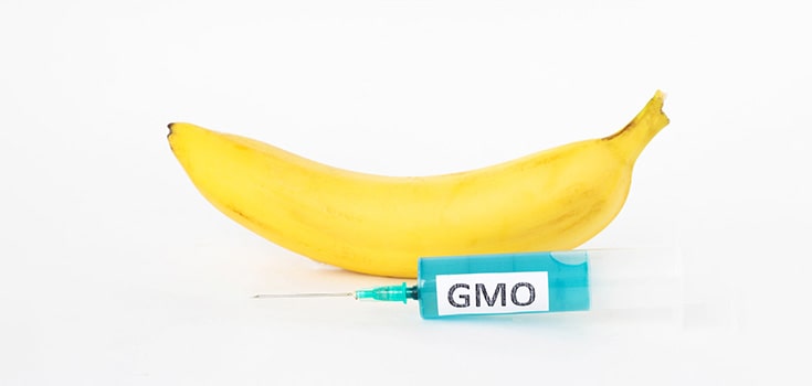 Big Biotech, Bill Gates Working to Create GMO Super Banana to Fight Malnutrition