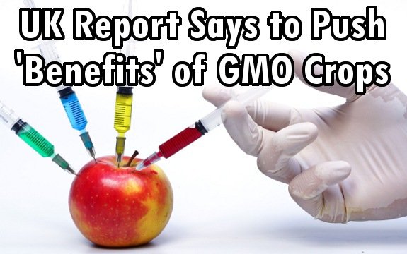 Push ‘Benefits’ of GMO Crops, a Report from the UK Says