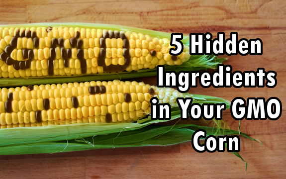 5 Hidden Ingredients in Your GMO Corn that Should NOT Be There