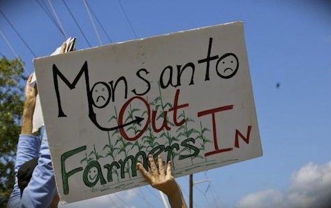 Monsanto Sues Farmers for 16 Straight Years over GMOs, NEVER Loses