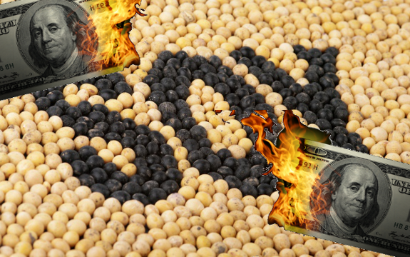 Was Japan Duped by Monsanto into Accepting GMO Soybeans?