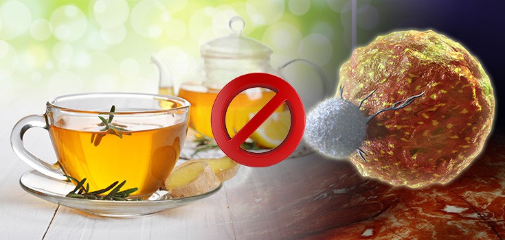 green tea stops cancer