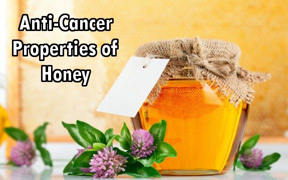 Study Identifies Anti-Cancer Properties of Honey Compounds